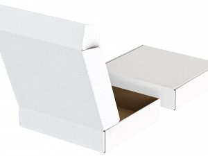 Cardboard Box FEFCO0427 - 004 Model 3D