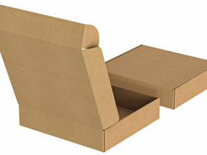 Cardboard Box FEFCO0427 - 003 Modello 3D