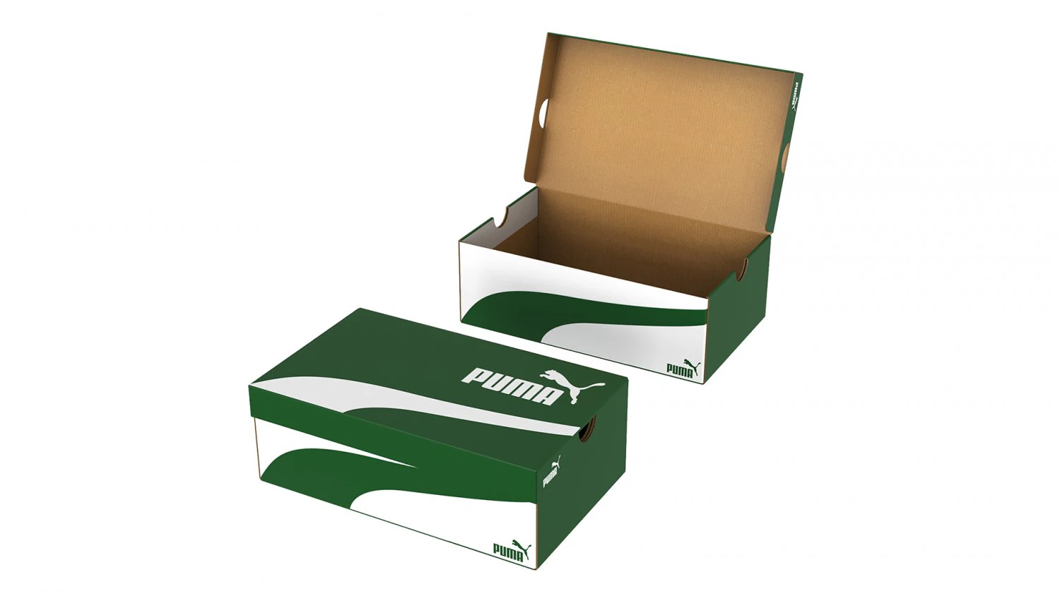 Puma Shoe Box 002 3D Model .c4d .max .obj .3ds .fbx .stl .blend 