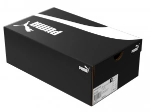 Puma Shoe Box 001 3D Model