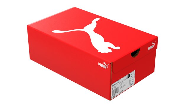 Puma Shoe Box 003 3D in 3DExport