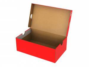 Puma Shoe Box 003 3D Модель