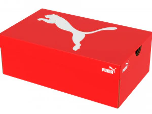 Puma Shoe Box 003 3D Model