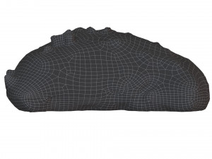 Cookie 01 Model 3D
