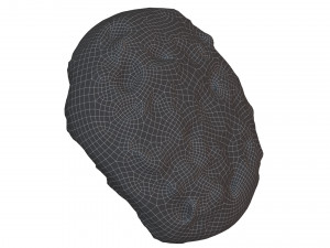 Cookie 02 3D Model