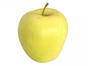 Apple 01 3Dモデル