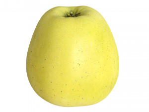 Apple 01 3Dモデル