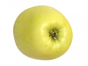 Apple 01 3Dモデル