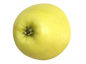 Apple 01 3Dモデル