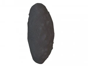 Biscoito 04 Modelo 3D