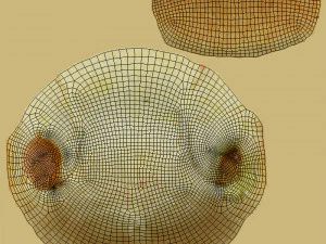 &Ccedil;erez 06 3D Model