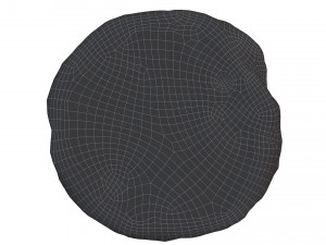 Cookie 07 3D-Modell