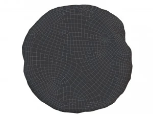 Cookie 07 3D Model