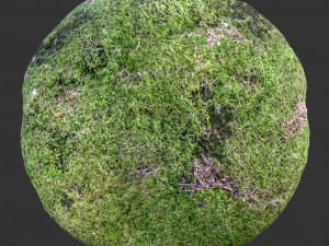 tens of thousands of materials textured about 600g CG Textures