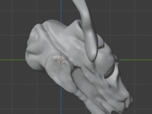 skull sculpt Model 3D