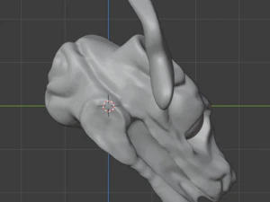 skull sculpt 3D Model