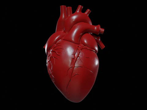 Cuore Hipoly Modello di stampa 3D
