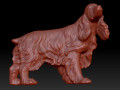 Cocker Spaniel dog 3D-Modell