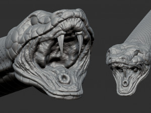 snake 3D Model