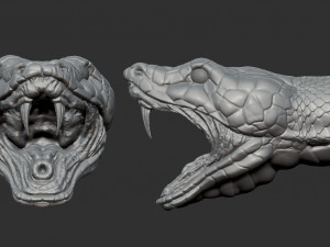 snake 3D Модель