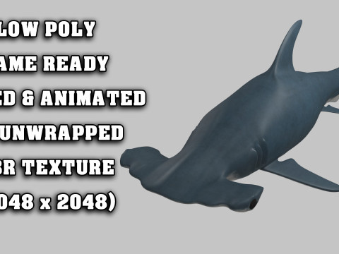 Hammer Head Shark 3D 模型
