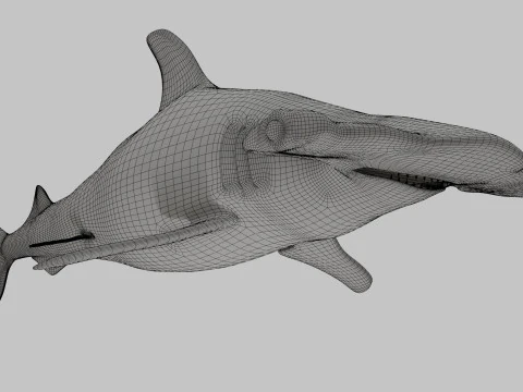 Rekin z głową młota Model 3D