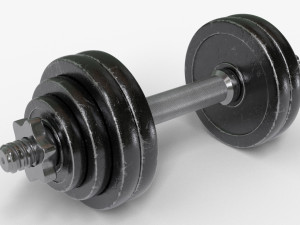 dumbbell adjustable 3D Model