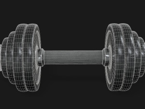 dumbbell adjustable 3D Model