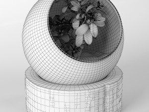 bonsai-plant-01 3D Model