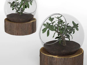 bonsai-plant-01 3D Model