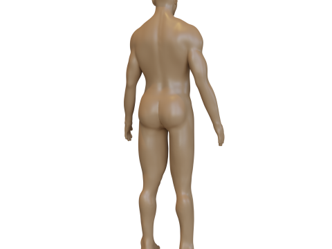 Ridick 3D 模型