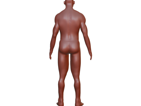 Ridick 3D 模型
