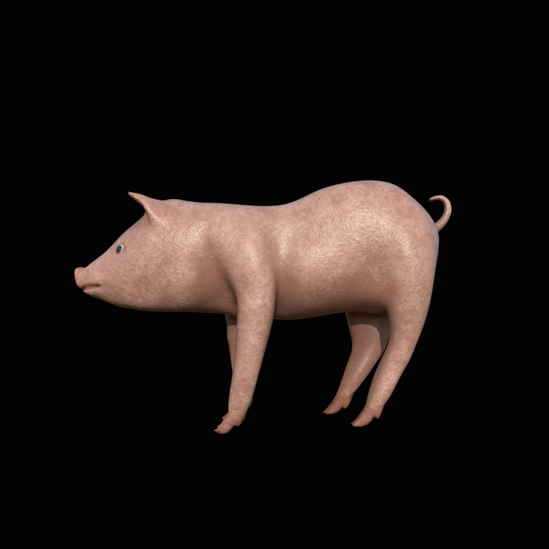 Pig Modèle 3D .c4d .max .obj .3ds .fbx .stl .blend