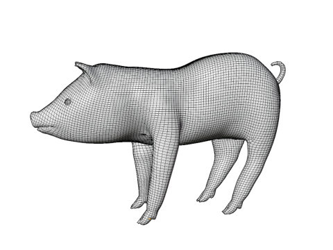 Pig Modèle 3D