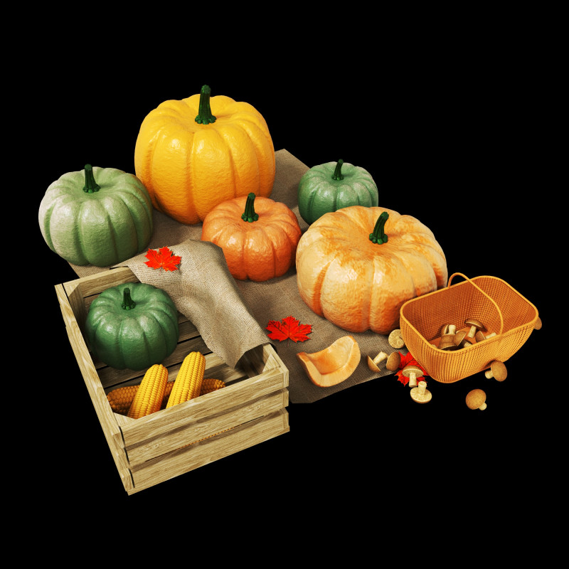 Kabak sonbaharda hasat 3D Model .c4d .max .obj .3ds .fbx .stl .blend 