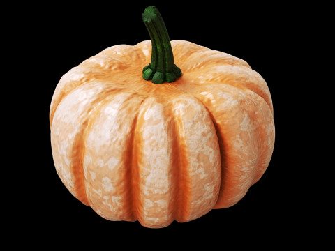 Kabak sonbaharda hasat 3D Model