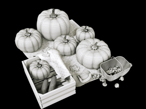 Kabak sonbaharda hasat 3D Model