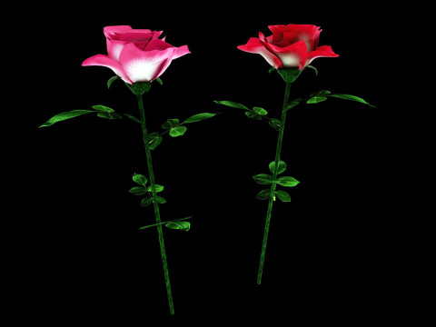 玫瑰 3D 模型