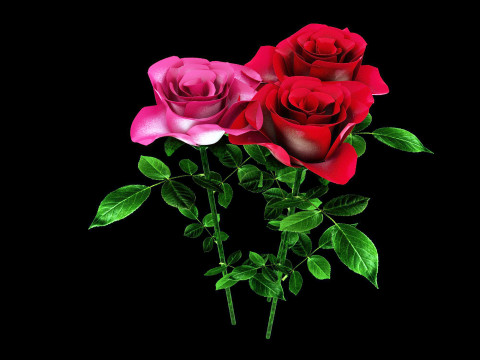 玫瑰 3D 模型