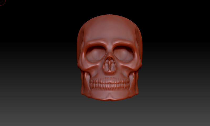 Skull 3D 模型 .c4d .max .obj .3ds .fbx .stl .blend