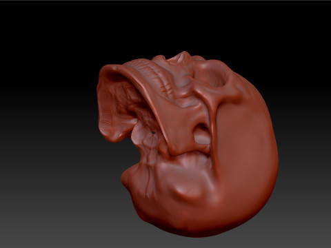 Skull 3D 模型