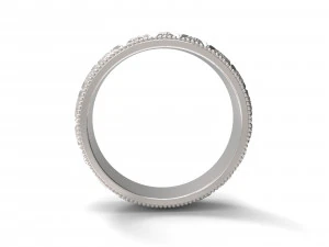 ring ornament3 3D Print Model