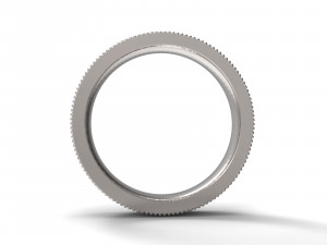 ring ornament4 3D 打印模型