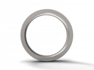 ring ornament4 3D Print Model