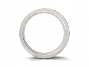 ring ornament v7 3D Принт Модель