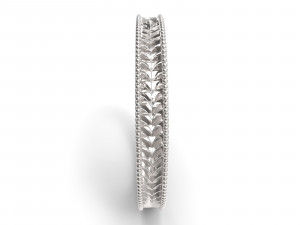 ring ornament v9 3D-Druckmodell