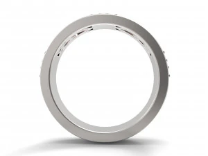ornaments rings version 3D Print Model