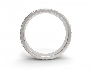 ornaments rings version 3D Print Model