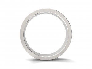 ornaments rings version 3D Print Model