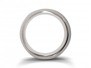 ornaments rings version 3D Print Model